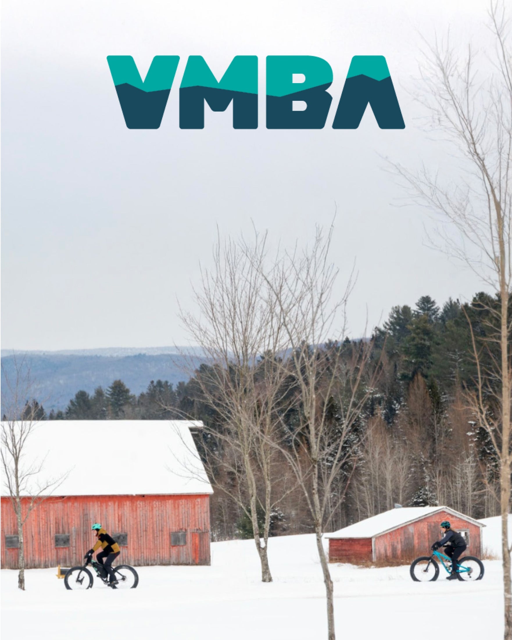 A Spotlight on VMBA - NoNormal