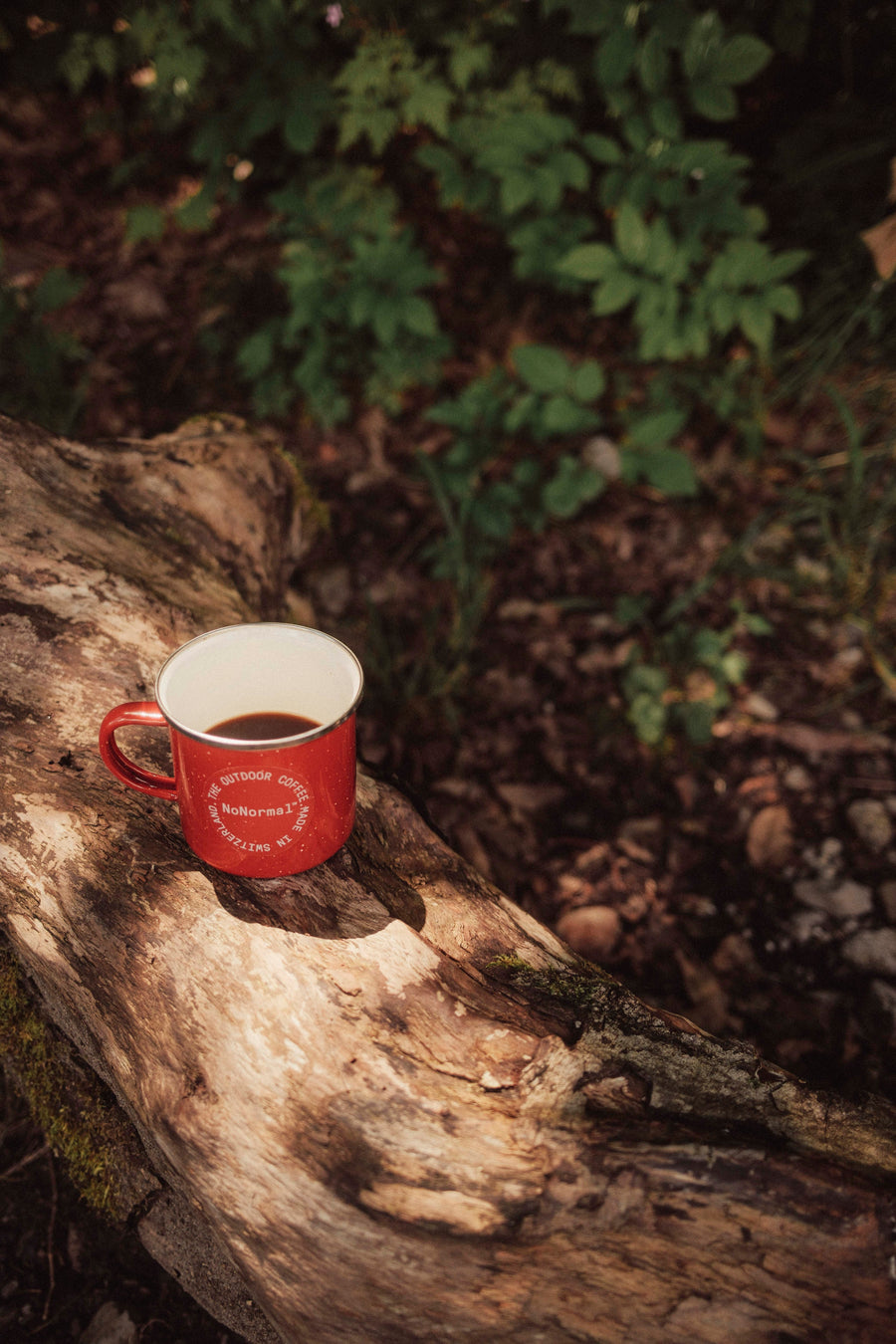 Cup